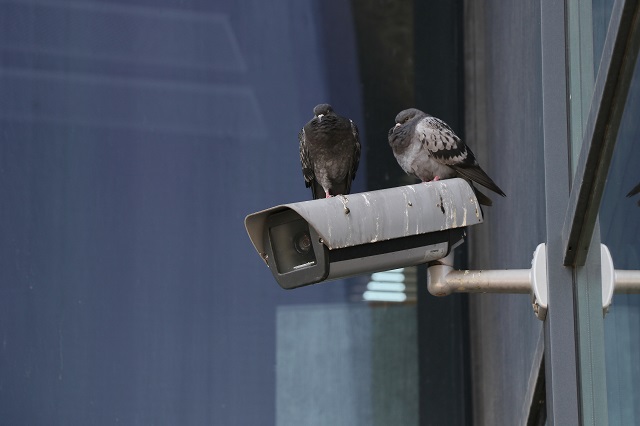 Security and CCTV Applications